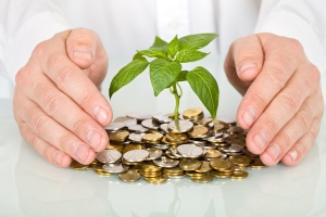Are Private Equity Firms Productive and Money-spinning?