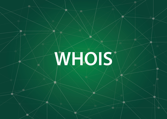 The Advantages Of WHOIS Lookup For Business Websites