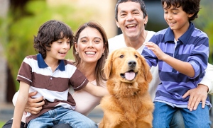 How To Choose The Right Pet Insurance Plan