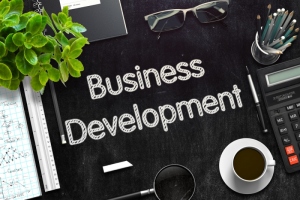 Developing The Business Of Muay Thai