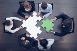 Why Interim Management?